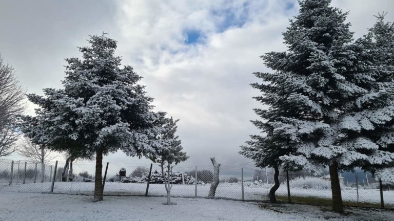 Αστεροσκοπείο – meteo: Εκτεταμένες χιονοπτώσεις αναμένονται σε Ευρώπη και Βορειοδυτική Αφρική