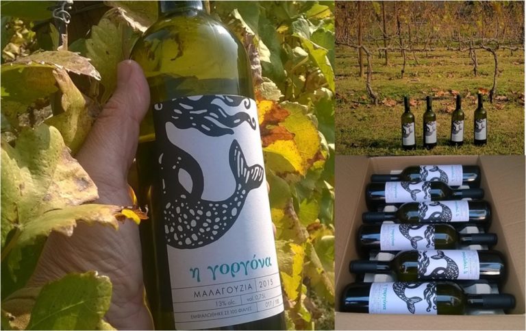 Δημοπρασία Οίνων για φιλανθρωπικό σκοπό στη Δημοτική Πινακοθήκη Θεσσαλονίκης