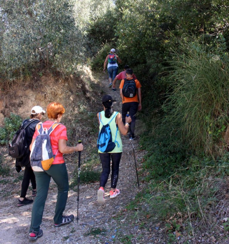 Διαδρομές Υγείας στο Πήλιο τα Χριστούγεννα και την Πρωτοχρονιά