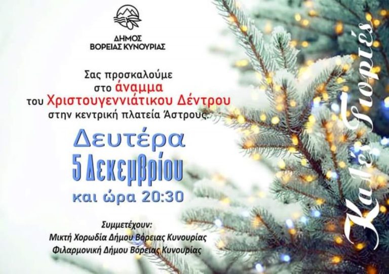Φωταγωγεί το χριστουγεννιάτικο δένδρο του ο δήμος της Βόρειας Κυνουρίας