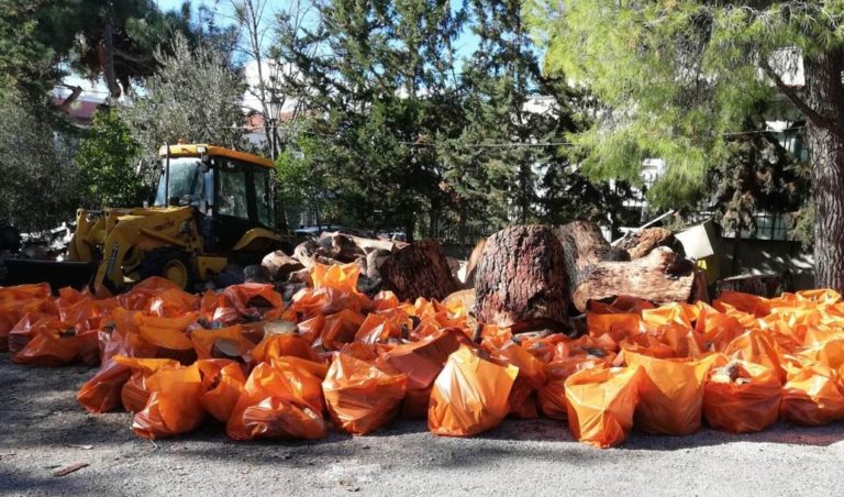 Ροδόπη: Ξυλεία για θέρμανση από τη Διεύθυνση Δασών σε 3.200 οικογένειες