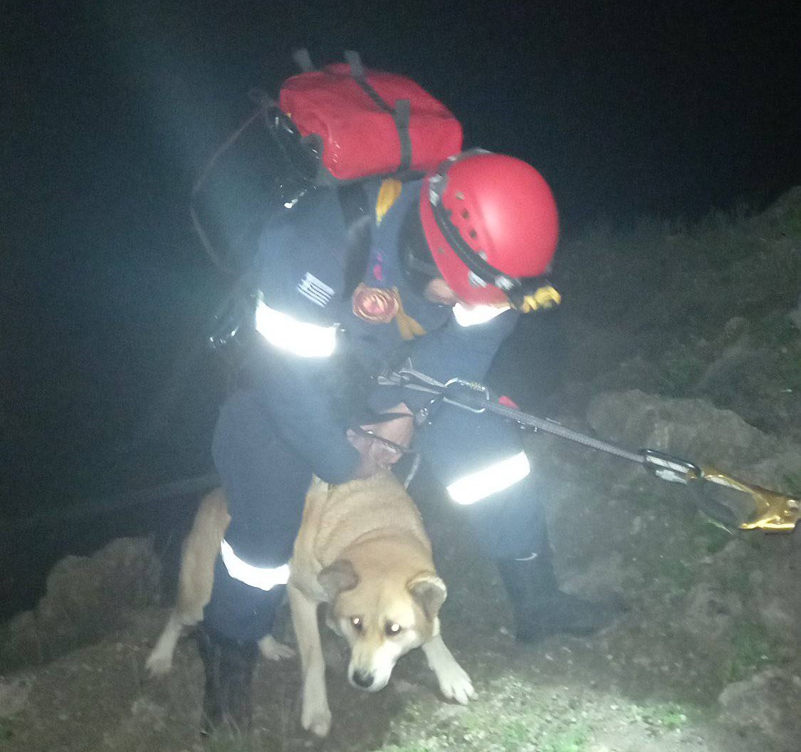 Κέρκυρα: Διέσωσαν σκύλο από γκρεμό