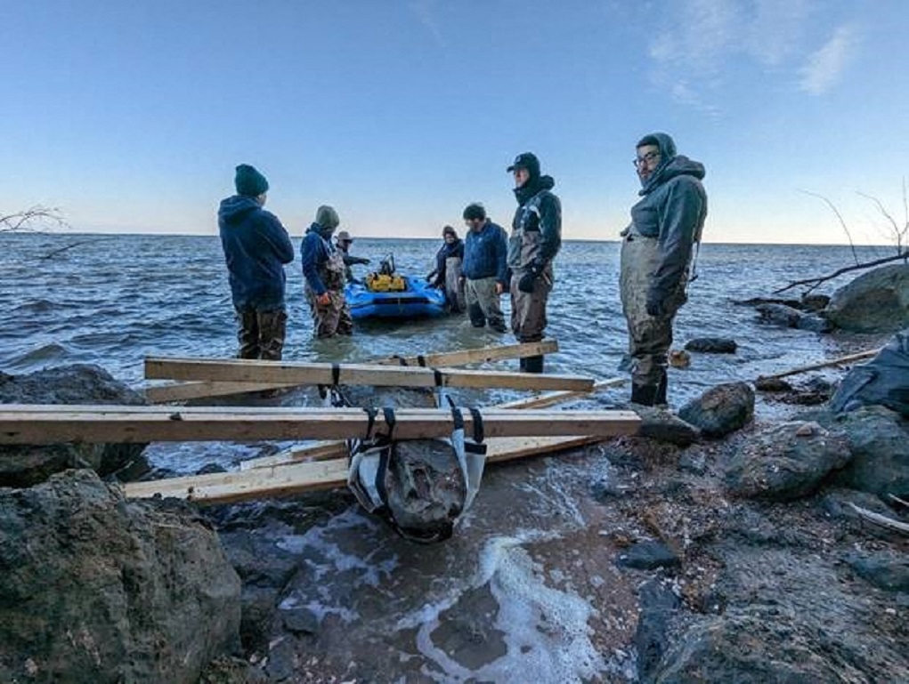 ΗΠΑ: Απολιθωμένο κρανίο φάλαινας, 12 εκατομμυρίων ετών, ανακαλύφθηκε στο Μέριλαντ
