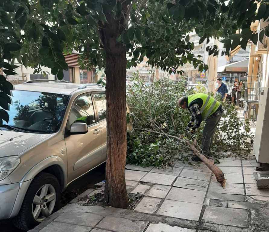 Θεσσαλονίκη: Πτώσεις δέντρων σε περιοχές της πόλης λόγω των ισχυρών ανέμων