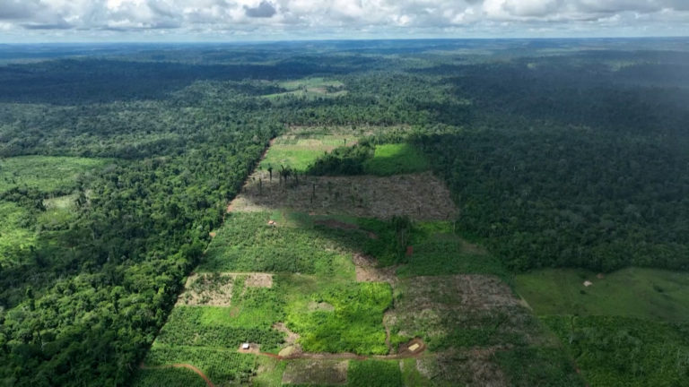 Πλάνα από drone δείχνουν το μέγεθος της αποψίλωσης του Αμαζονίου (video)