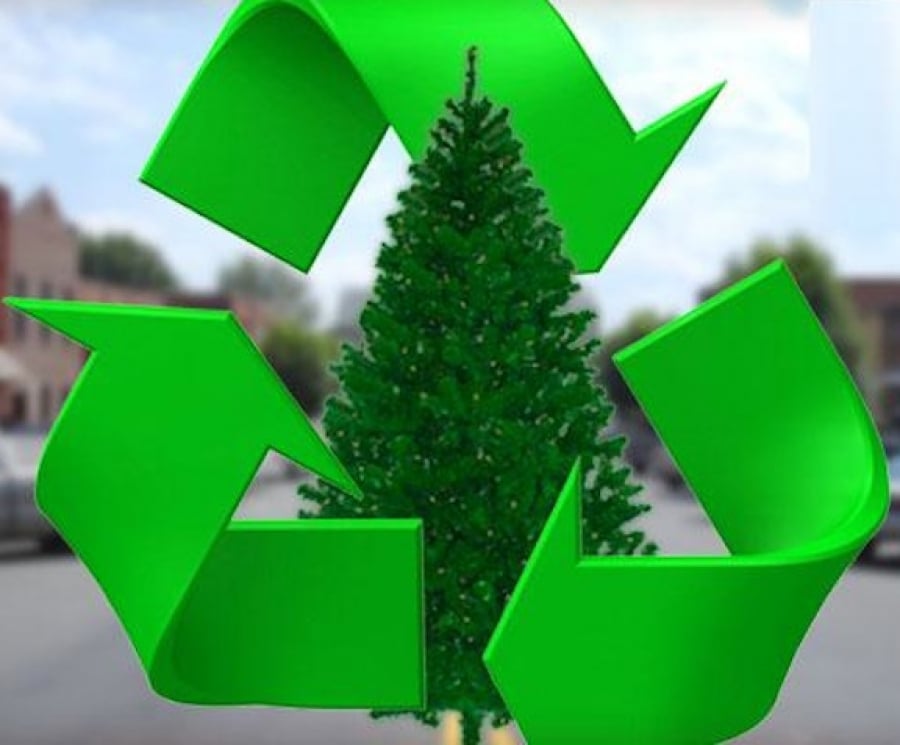 Δήμος Πυλαίας– Χορτιάτη: Ανακύκλωση των χριστουγεννιάτικων δέντρων με ένα τηλεφώνημα