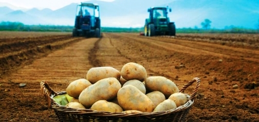 Εκσυγχρονίζεται η συγκομιδή πατάτας στο Νευροκόπι  