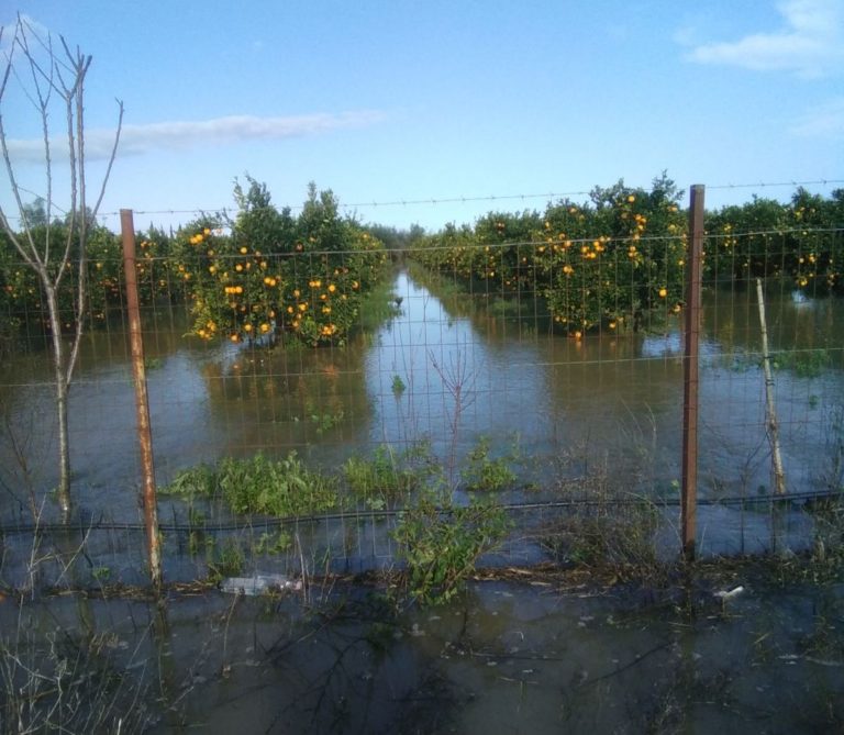 Οι πλημμύρες στον Ανισάτο ποταμό κατέστρεψαν καλλιέργειες