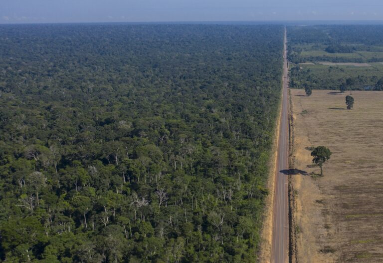 Γερμανία: Δέσμευση 31 εκατομμυρίων ευρώ για την προστασία του τροπικού δάσους στη Βραζιλία