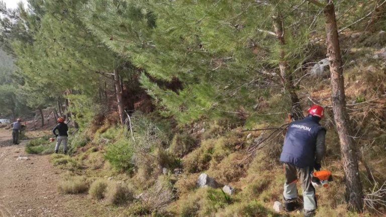 Εθελοντική Ομάδα ΟΜΙΚΡΟΝ: Καθαρισμοί δασών και κάλεσμα για νέες εγγραφές μελών