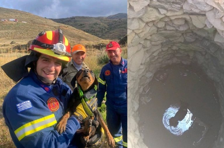 Πυροσβεστική Υπηρεσία Χίου: Διέσωσαν σκυλίτσα από πηγάδι