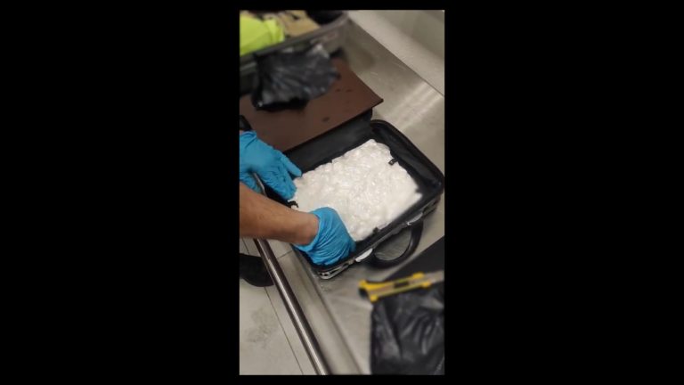 Συνελήφθησαν στο «Ελ. Βενιζέλος» δύο 24χρονες αλλοδαπές για εισαγωγή ναρκωτικών – Κατασχέθηκε κοκαΐνη (video)