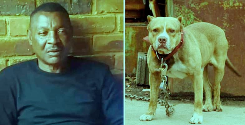 Πρώην διεθνής ποδοσφαιριστής της Ζάμπια βρήκε φρικτό θάνατο από επίθεση των σκυλιών του