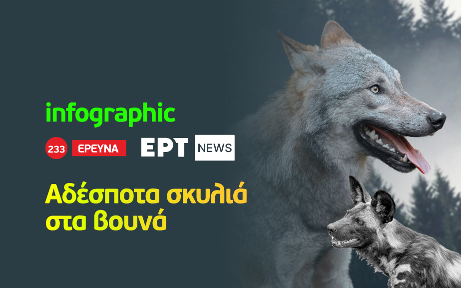 Infographic: Αδέσποτα σκυλιά στα βουνά της Ελλάδας