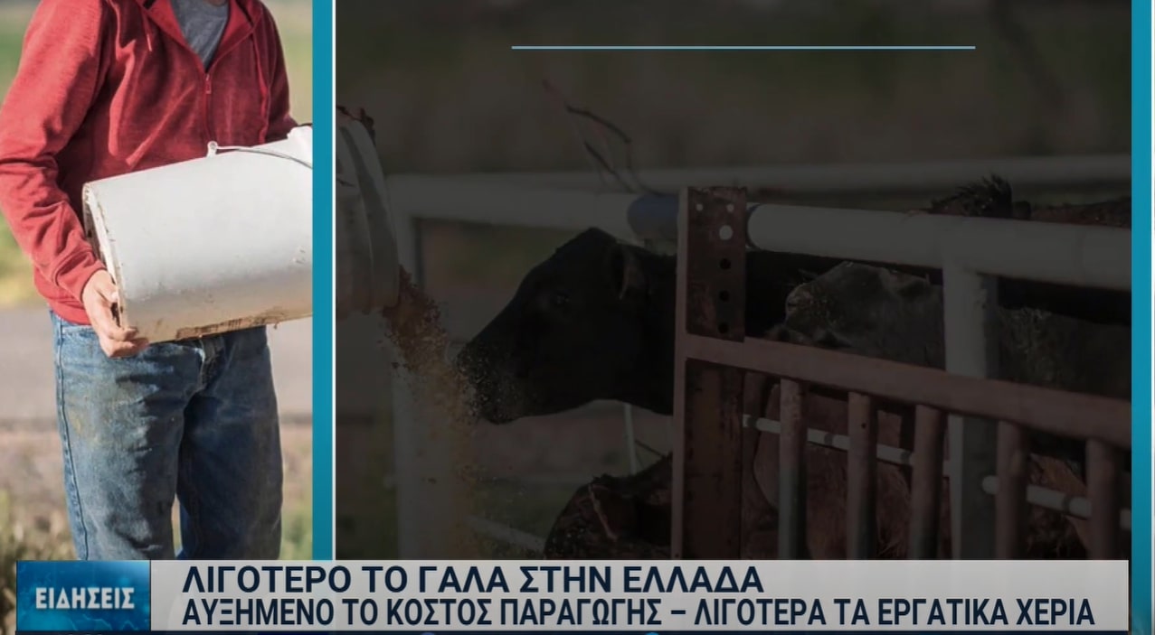 Συρρίκνωση παρουσιάζει ο κτηνοτροφικός τομέας στην Ελλάδα