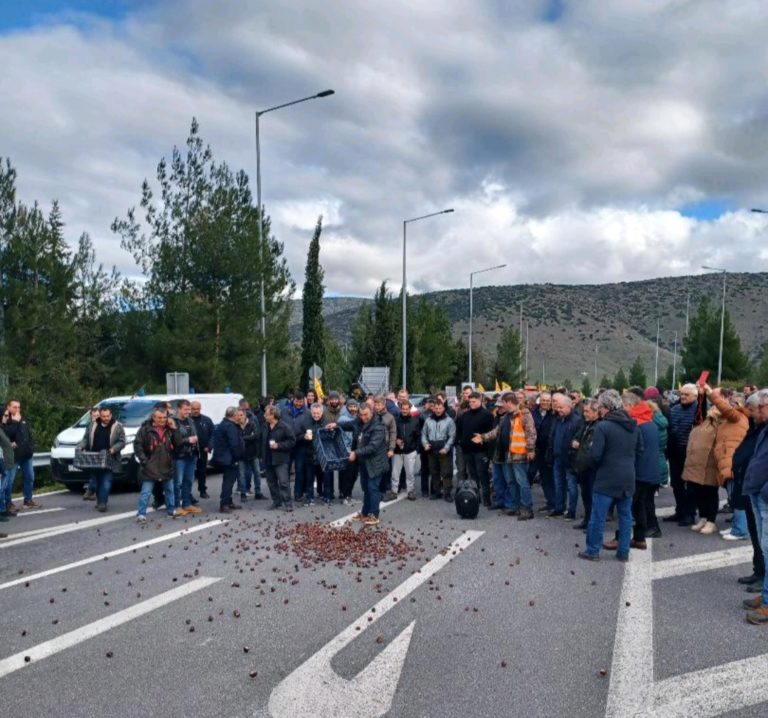 Μαζική η κινητοποίηση των καστανοπαραγωγών στη Γυρτώνη – Πανθεσσαλική σύσκεψη στις 27/1 στον Παλαμά