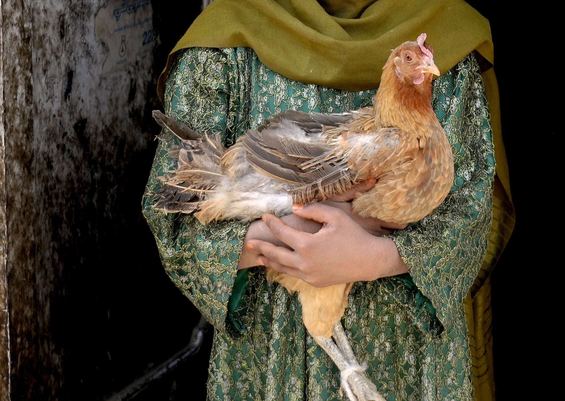 Ουζμπεκιστάν: Oι δάσκαλοι των σχολείων πληρώνονται με κοτόπουλα
