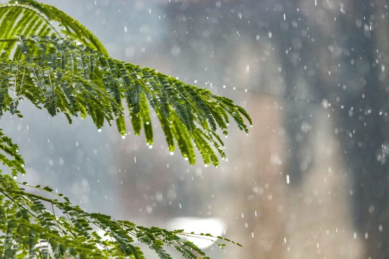 Ο καιρός με τον Π. Γιαννόπουλο: Χειμωνιάτικο σκηνικό από Πέμπτη με κρύο, βροχές και καταιγίδες