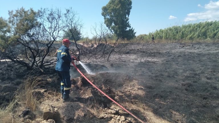 Ηλεία: Αυξημένα τα περιστατικά εμπρησμού την περσινή χρονιά