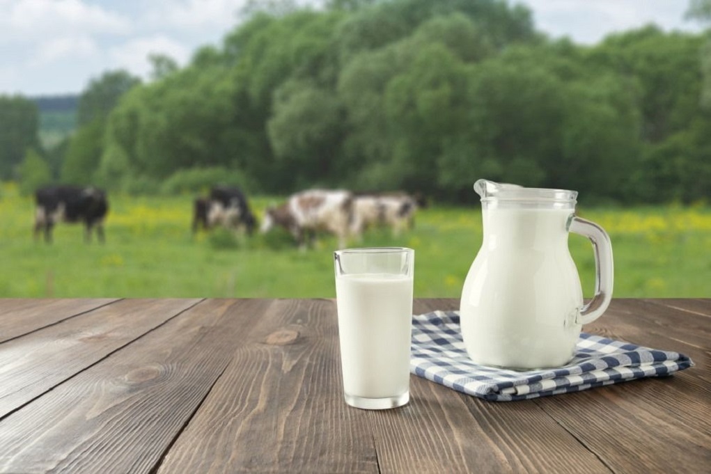 Συρρικνώνεται η παραγωγή γάλακτος στην Ήπειρο