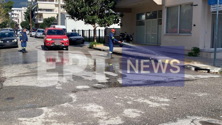 Συνελήφθη 22χρονος για την δολοφονία του 47χρονου στην Καλαμάτα – Ταυτοποιήθηκε ο δεύτερος δράστης