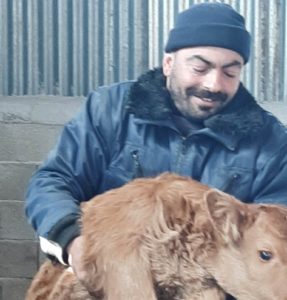 Eordaialive.com - Τα Νέα της Πτολεμαΐδας, Εορδαίας, Κοζάνης Μειώνουν την παραγωγή λόγω ακρίβειας οι κτηνοτρόφοι στην Κοζάνη – Ζητούν μείωση του κόστους παραγωγής