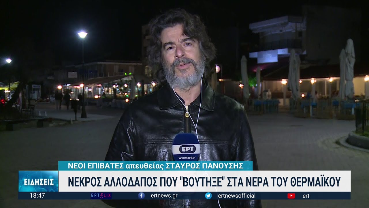 Θεσσαλονίκη: Ανακοίνωση του Λιμενικού για τους δύο άντρες που βούτηξαν στους Νέους Επιβάτες