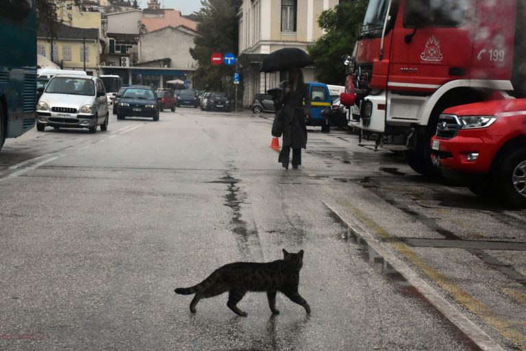 Προ των πυλών η κακοκαιρία: Σε ποιες περιοχές θα βρέξει και θα χιονίσει – Πόσο θα διαρκέσει