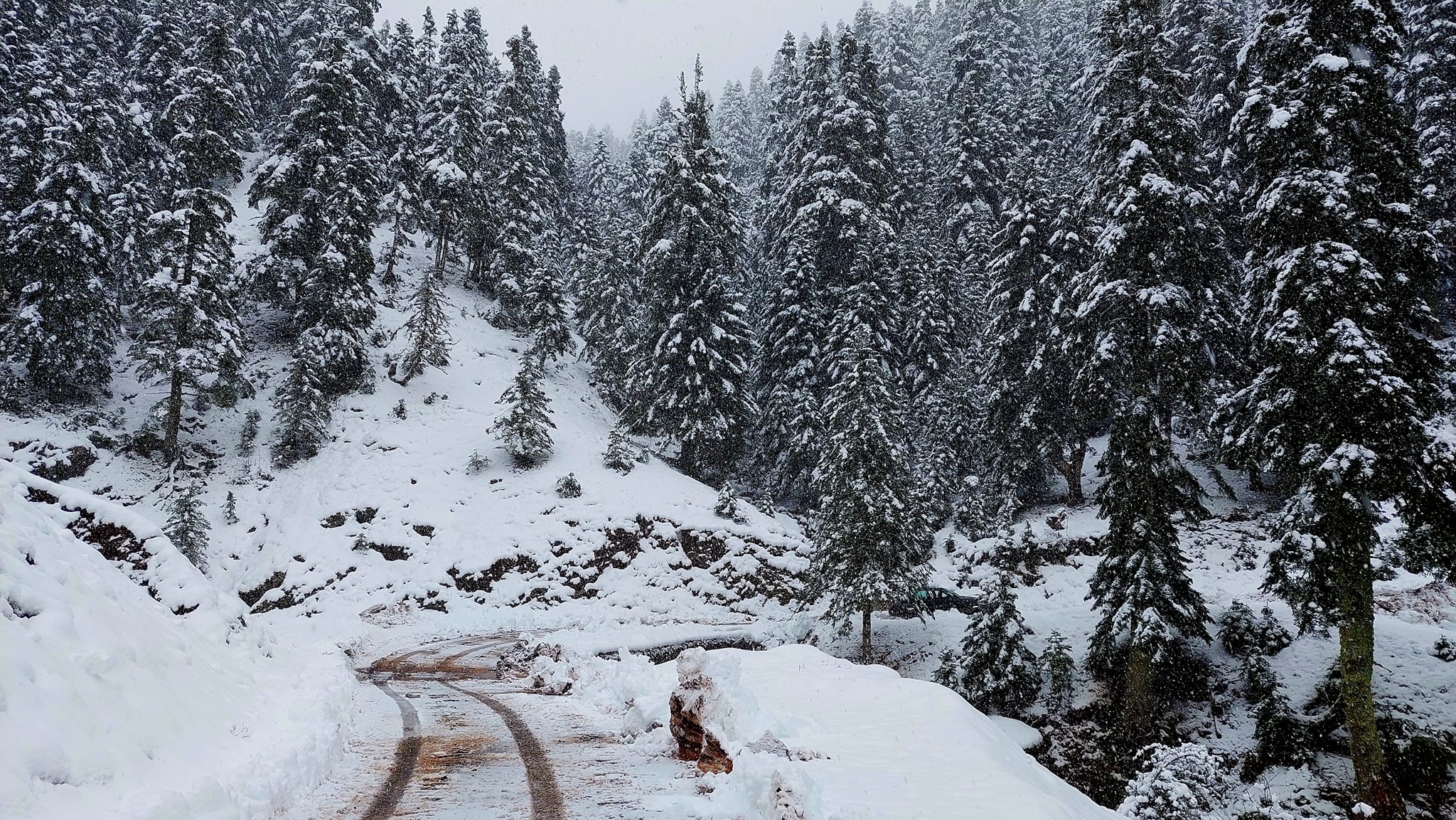 Καρδίτσα: Χιονοπτώσεις στα ορεινά – βροχοπτώσεις στις πεδινές περιοχές