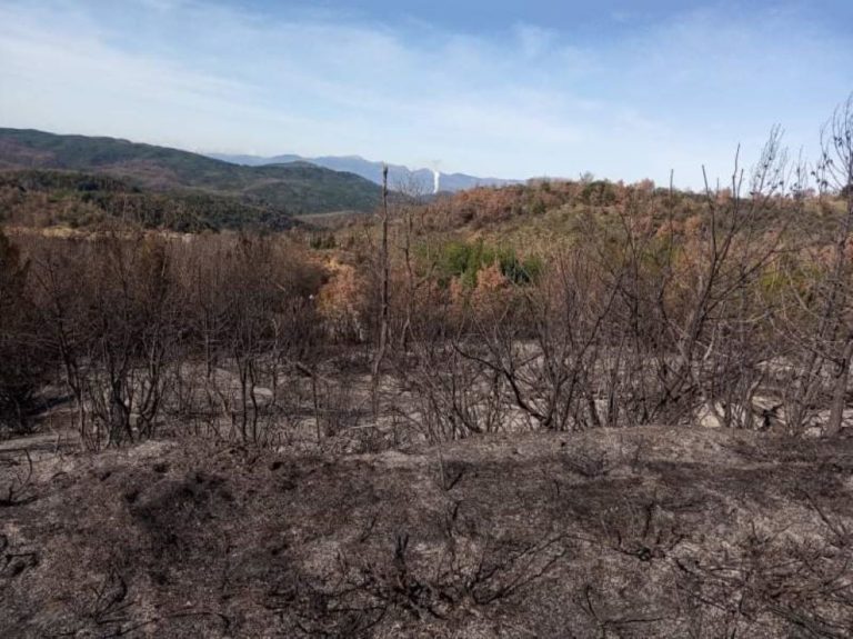 Ερώτηση βουλευτών του ΚΚΕ για τις αποζημιώσεις των πυρόπληκτων αγροτών της Γορτυνίας