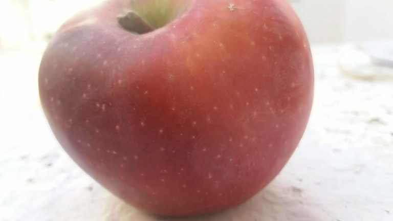 Επιμελητήριο και Αγροτικός Συνεταιρισμός: Να μην εξαιρεθεί η Αρκαδία από τις αποζημιώσεις των παραγωγών μήλων