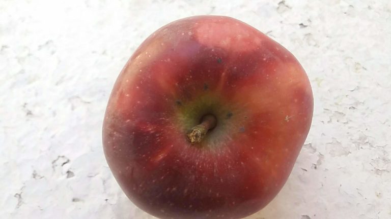 Το δημοτικό συμβούλιο Τρίπολης στηρίζει τους παραγωγούς μήλων της Αρκαδίας