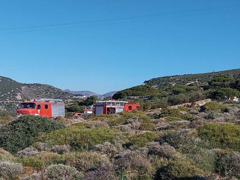 Λέσβος: Υπό πλήρη έλεγχο η φωτιά στην Άντισσα