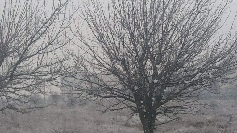 Χιόνι πέφτει από το απόγευμα της Τρίτης στην Τρίπολη