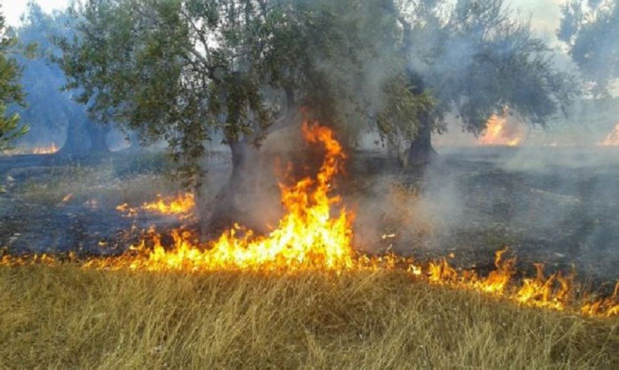 Συναγερμός στην Πυροσβεστική για μεγάλη πυρκαγιά στους Αγ. Θεοδώρους Κορινθίας