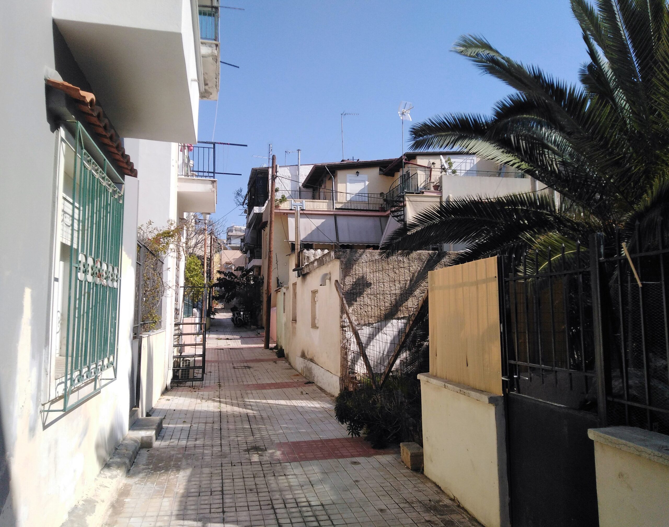 νι6 100 χρόνια από την ίδρυση της Νέας Ιωνίας Αττικής (φωτορεπορτάζ)