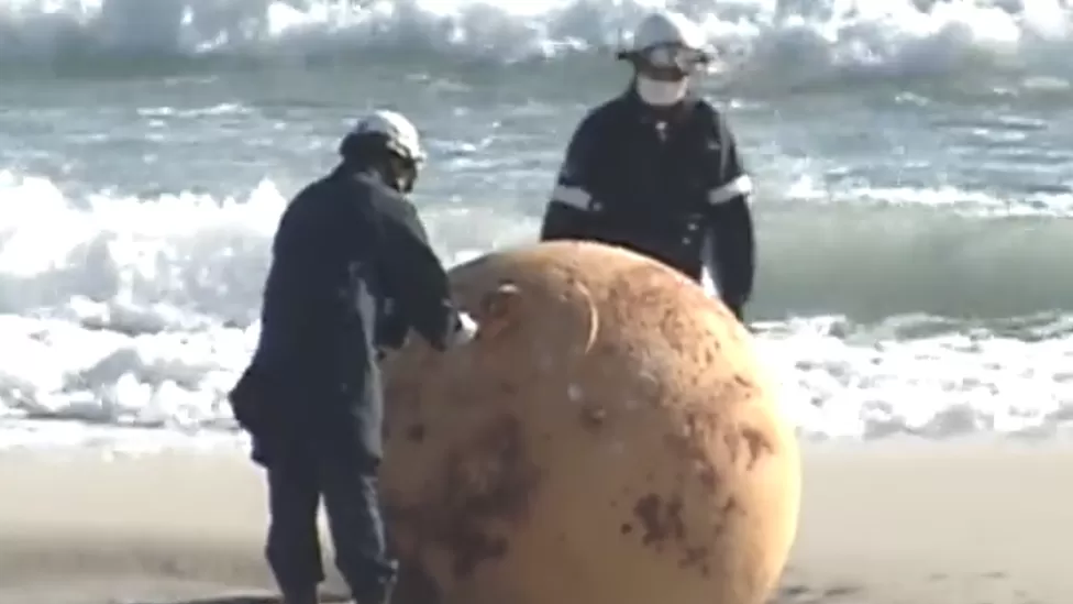 «Αυγό του Γκοτζίλα»: Η μυστηριώδης «μπάλα» βρέθηκε σε παραλία της Ιαπωνίας και έχει προβληματίσει την χώρα