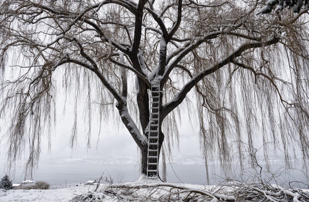 Η έκθεση «Χρήστος Δικαιάκος. Ο κόσμος ως ανοιχτό στούντιο» στο MOMus-Μουσείο Φωτογραφίας Θεσσαλονίκης