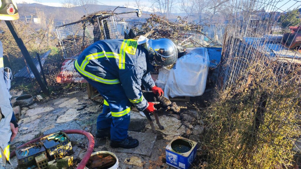 Φωτιά σε αποθήκη στην Ανατολή Ιωαννίνων- Σκοτώθηκαν κυνηγόσκυλα (video – photos)