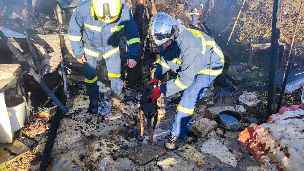 Φωτιά σε αποθήκη στην Ανατολή Ιωαννίνων- Σκοτώθηκαν κυνηγόσκυλα (video – photos)