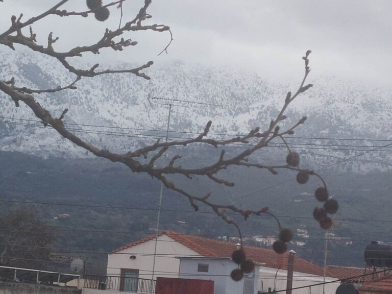 Κλειστά τα σχολεία στον Αποκόρωνα