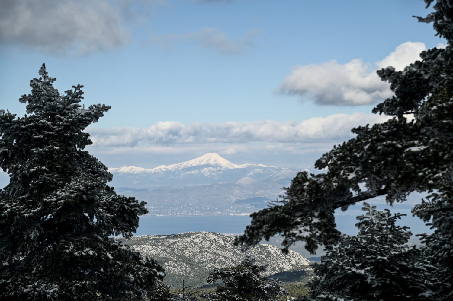 Χιονιάς