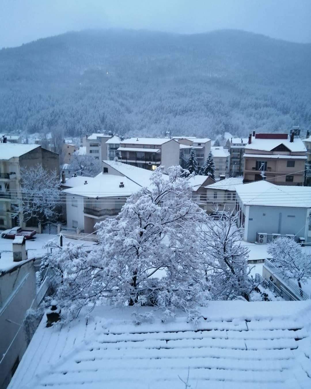 Αμύνταιο: Κλειστά σχολεία λόγω παγετού