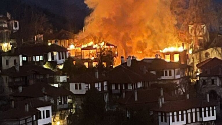 Δήμος Δίου – Ολύμπου: Φωτιά στον Παλαιό Παντελεήμονα – Κάηκαν επιχειρήσεις και σπίτια