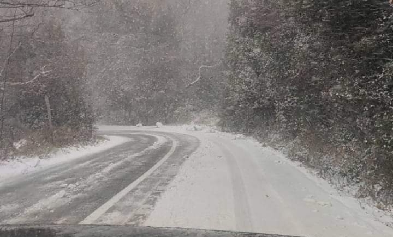 Μαγνησία: Χιόνι κατά διαστήματα στο Βόλο – Στα λευκά ντύνονται τα ορεινά