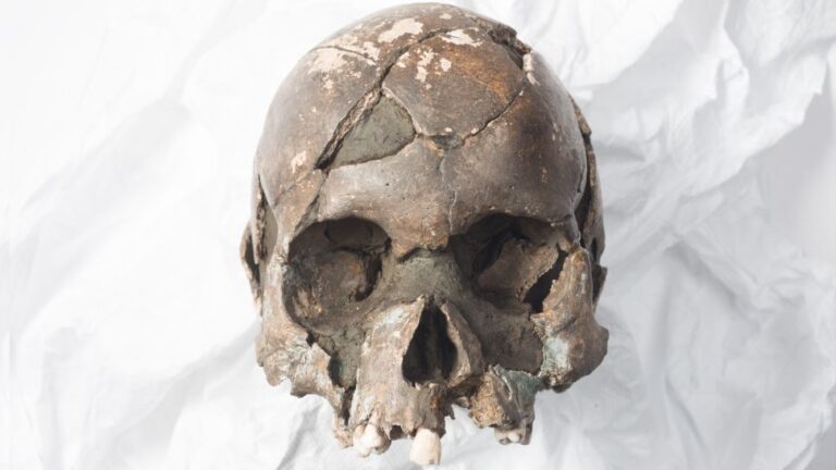 Aνακατασκευή αποκαλύπτει «μοναχικό αγόρι» με παραμορφωμένο κρανίο που πέθανε σε σπήλαιο στη Νορβηγία πριν από 8.300 χρόνια