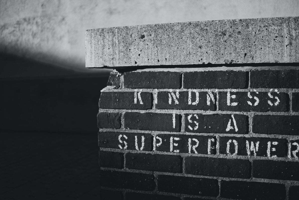 andrew-thornebrooke-WRAHkIAr2_E-unsplash