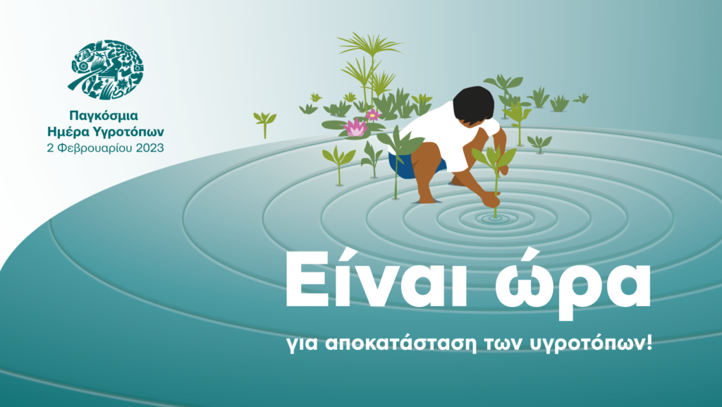 Παγκόσμια Ημέρα Υγροτόπων: Εκδηλώσεις στη Λιμνοθάλασσα Αγγελοχωρίου και στον Γαλλικό ποταμό