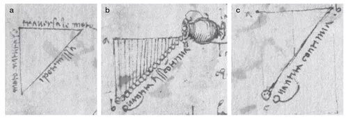 Ο Λεονάρντο ντα Βίντσι ίσως είχε κατανοήσει τη βαρύτητα πολύ πριν τον Γαλιλαίο, τον Νεύτωνα και τον Αϊνστάιν