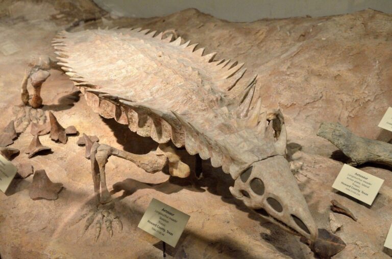 Οι παλαιοντολόγοι λύνουν ένα μυστήριο 150 ετών σχετικά με τους Αετόσαυρους